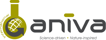 Aniva